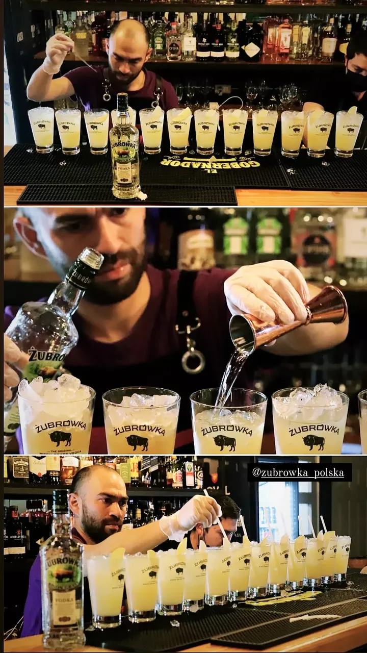Manhattan Coffeebar Bartender Osorno